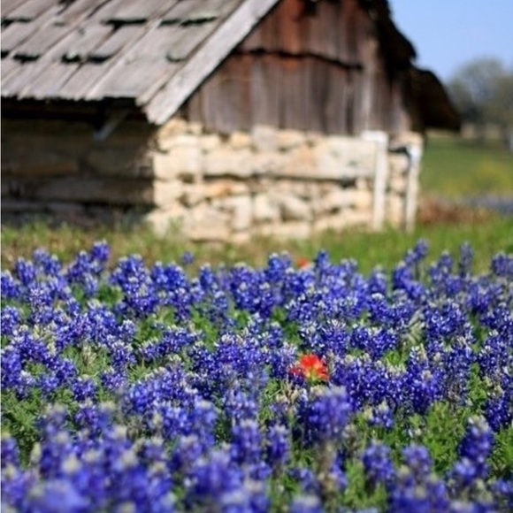 Meet your Posher, Jessica - Picture 1 of 1